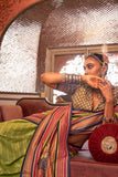 Pristine Parrot Green Kanjivaram and Patola Printed Silk Saree - women's fashion mart