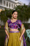 Kalamkari Print Beautiful Lehenga Choli For Woman - women's fashion mart