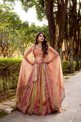 Carika Silk Designer Lehenga Choli Set With Embroidered Dupatta For Women