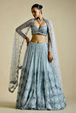 Sky Blue Color Net Febric Wedding Lehenga Choli For Woman - women's fashion mart