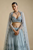 Sky Blue Color Net Febric Wedding Lehenga Choli For Woman - women's fashion mart