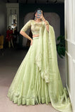 Allen Crush Tea Shade Lehenga Set With Sequins And Beadwork Blouse