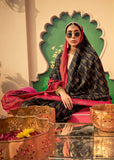 Caviar Black Printed Patola Silk Saree