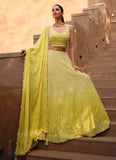Glorious Traditional Embroidered Ombre Yellow Lehenga Choli - women's fashion mart