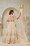 Crimson Elegance Minimalist Peacock And Leaf Motif Bridal Lehenga