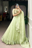 Allen Crush Tea Shade Lehenga Set With Sequins And Beadwork Blouse