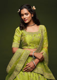 Green Glow Georgette Embroidered Lehenga With Net Dupatta