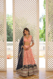 Ethnic Elegance Traditional Designer Women Lehenga Choli - women's fashion mart