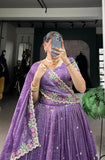 Traditional Indian Ensemble Beautiful Lehenga Choli