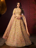 Classic Beige Heavy Embroidered Net Bridal Lehenga Choli - women's fashion mart