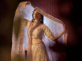 Classic Beige Heavy Embroidered Net Bridal Lehenga Choli - women's fashion mart