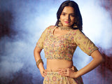 Classic Beige Heavy Embroidered Net Bridal Lehenga Choli - women's fashion mart