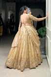 Traditional Indian Ensemble Beautiful Lehenga Choli