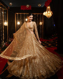 Sabyasachi Designer brown Lehenga Choli Embellished With Beautiful Shimmer Dori Work Wedding Lehenga Choli Party Wear Lehenga Choli | Ready To Wear  women's fashion mart