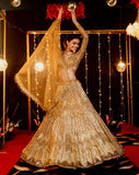 Sabyasachi Designer brown Lehenga Choli Embellished With Beautiful Shimmer Dori Work Wedding Lehenga Choli Party Wear Lehenga Choli | Ready To Wear  women's fashion mart