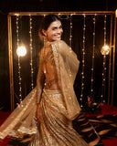 Sabyasachi Designer brown Lehenga Choli Embellished With Beautiful Shimmer Dori Work Wedding Lehenga Choli Party Wear Lehenga Choli | Ready To Wear  women's fashion mart