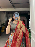 Fabulous Gray Tussar Silk Kalamkari Printed Foil Worked Lehenga Choli - women's fashion mart