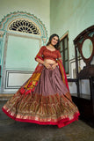 Outstanding Onion Tussar Silk Kashmiri Printed Foil Worked Lehenga Choli - women's fashion mart