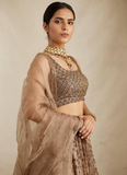 Pretty Soft Net Sequence Zari Embroidery Work Brown Lehenga  women's fashion mart