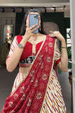 Patola Printed Multi Color Cotton Fabric Lehenga For Festival.