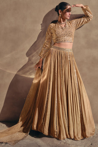 Beige Color Chinon Silk Fabric Embroidered Readymade Lehenga Choli.