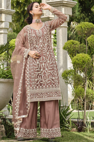 Chikoo Color Net Fabric Lovely Function Wear Palazzo Suit.