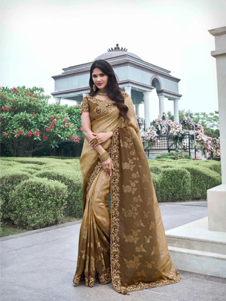 Fabulous Light Brown Ombre Style Tissue Silk Embroidered Saree - women's fashion mart