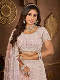 Stunning and Premium Net Baby Pink Bridal Lehenga Choli - women's fashion mart