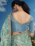 Passionate Pista  Heavily Floral Embroidered Brasso Saree - women's fashion mart