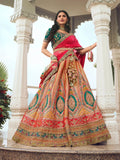 Elegant Embroidered Multi-Color Silk  Lehenga Choli Set - women's fashion mart