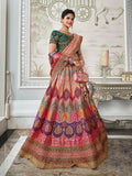 Pleasing Multi-color Banarasi Silk Bridal Lehenga Choli Set - women's fashion mart