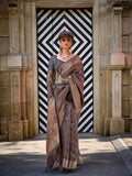 Amazing Gray Pure Handloom Two Tone Organza Weaving Saree - women's fashion mart