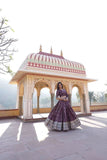 Attractive Pure Viscous Georgette Heavy Sequins Embroidered Lehenga Choli Set -Lehenga Choli Rani / Semi Stitched women's fashion mart