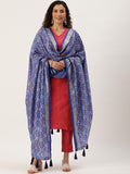 Blue Color Patola Print With Foil Work Also Comes With Tassels Tussar Silk Dupatta -dupatta for lehenga online Default Title women's fashion mart