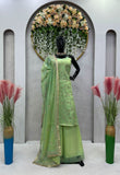 Pista green colour sequence embroidery work on jimmy choo suit -Designer Suit M (38" inches) / Green women's fashion mart