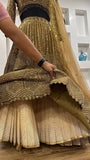 Sabyasachi Designer brown Lehenga Choli Embellished With Beautiful Shimmer Dori Work Wedding Lehenga Choli Party Wear Lehenga Choli | Ready To Wear  women's fashion mart