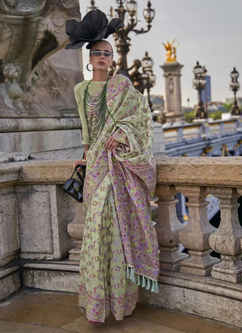 Vibrant Light Green Handloom Organza Parsi Weaving saree - women's fashion mart