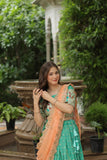 Luxurious and Exquisite Jacquard Silk Meena Weaved Lehenga Choli - women's fashion mart