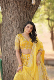 Marvelious Viscous Jacquard Sequins Embroidered Lehenga Choli Set - women's fashion mart